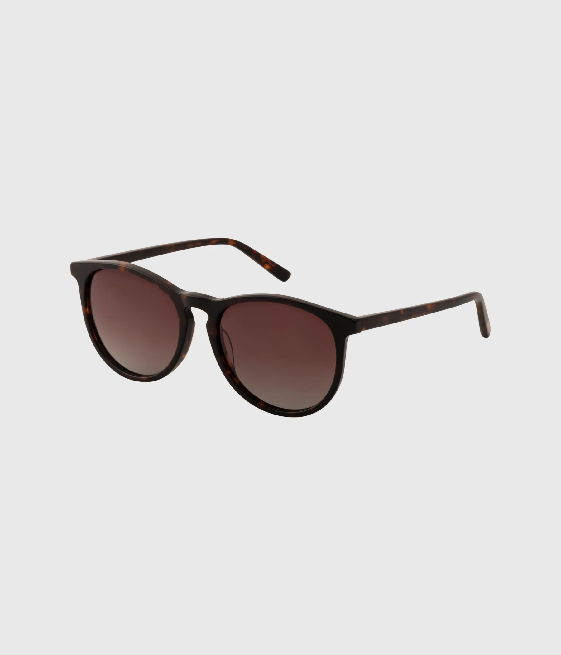 SAHARA Classic Acetate Sunglasses Brown Tortoise (brown tortoise) Pilgrim SAHARA Classic Acetate Sunglasses Brown Tortoise (brown Tortoise) -dress shop 752110502